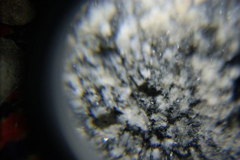 2017-02-08 13-40-10.JPG