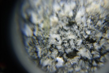 2017-02-08 13-39-58.JPG