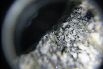 2017-02-08 13-39-32.JPG