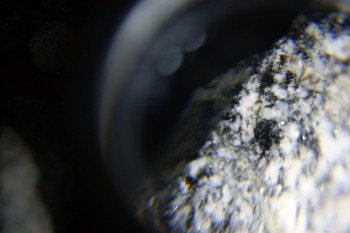 2017-02-08 13-39-24.JPG