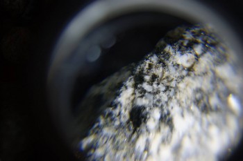 2017-02-08 13-39-18.JPG