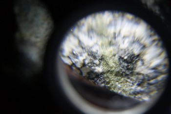 2017-02-08 13-38-16.JPG