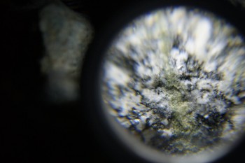 2017-02-08 13-38-12.JPG