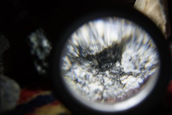 2017-02-08 13-37-56.JPG