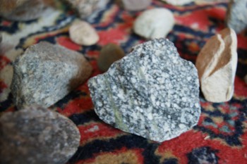 2017-02-08 13-37-20.JPG