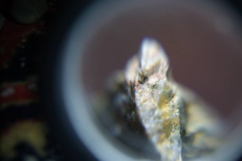 2017-02-08 13-37-00.JPG