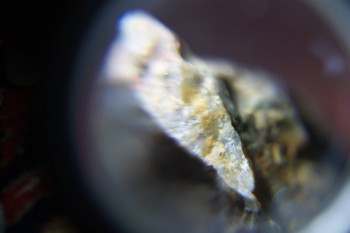 2017-02-08 13-36-42.JPG