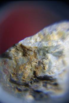 2017-02-08 13-36-20.JPG