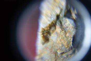 2017-02-08 13-35-02.JPG