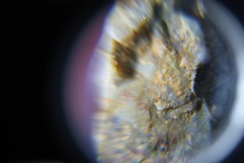 2017-02-08 13-34-54.JPG