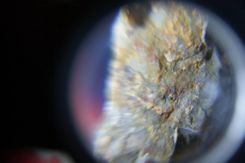 2017-02-08 13-34-48.JPG