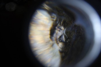 2017-02-08 13-34-32.JPG