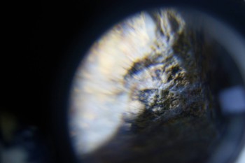 2017-02-08 13-33-32.JPG