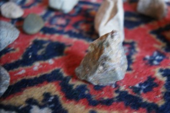 2017-02-08 13-33-04.JPG