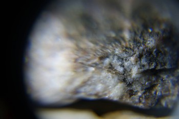 2017-02-08 13-32-40.JPG