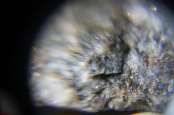 2017-02-08 13-32-28.JPG