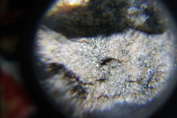 2017-02-08 13-31-40.JPG