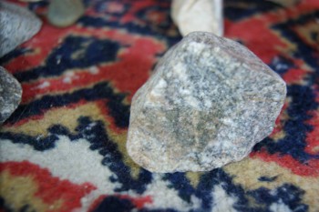 2017-02-08 13-30-46.JPG