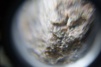 2017-02-08 13-30-26.JPG