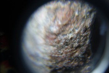 2017-02-08 13-29-58.JPG