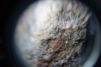 2017-02-08 13-29-52.JPG