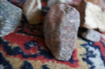 2017-02-08 13-29-34.JPG