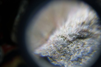 2017-02-08 13-28-38.JPG