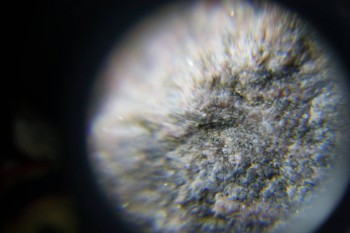 2017-02-08 13-28-20.JPG