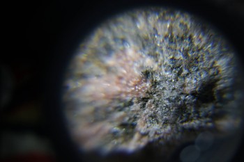 2017-02-08 13-28-14.JPG