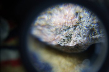 2017-02-08 13-28-10.JPG