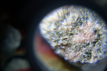 2017-02-08 13-28-06.JPG