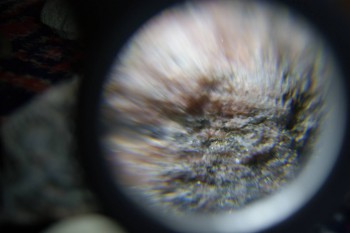 2017-02-08 13-27-40.JPG