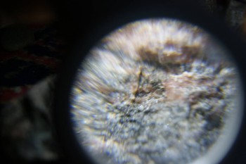 2017-02-08 13-27-24.JPG