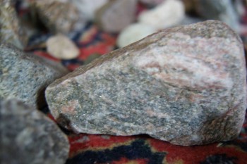 2017-02-08 13-26-42.JPG