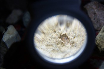 2017-02-08 13-26-28.JPG