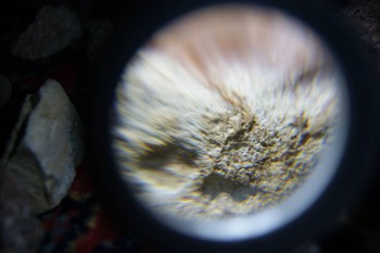 2017-02-08 13-25-36.JPG