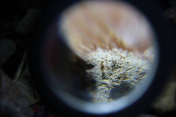 2017-02-08 13-25-30.JPG