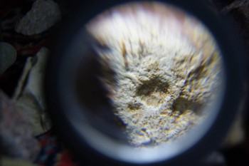 2017-02-08 13-25-26.JPG