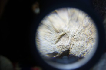 2017-02-08 13-25-14.JPG