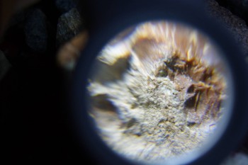 2017-02-08 13-25-06.JPG