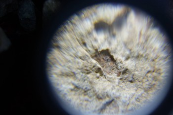 2017-02-08 13-24-50.JPG