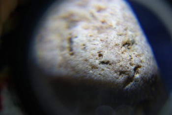 2017-02-08 13-23-58.JPG