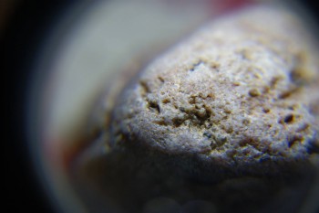 2017-02-08 13-23-38.JPG