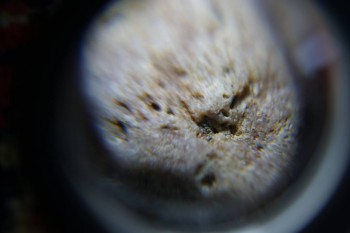 2017-02-08 13-23-24.JPG