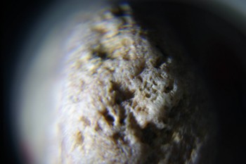 2017-02-08 13-23-02.JPG