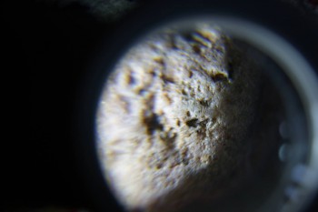 2017-02-08 13-22-30.JPG