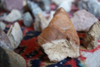 2017-02-08 13-21-30.JPG