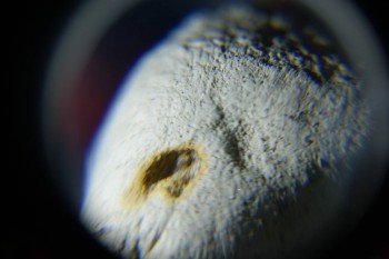 2017-02-08 13-21-16.JPG