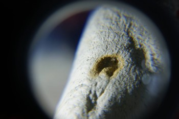 2017-02-08 13-21-04.JPG