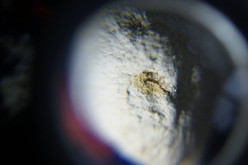 2017-02-08 13-20-40.JPG